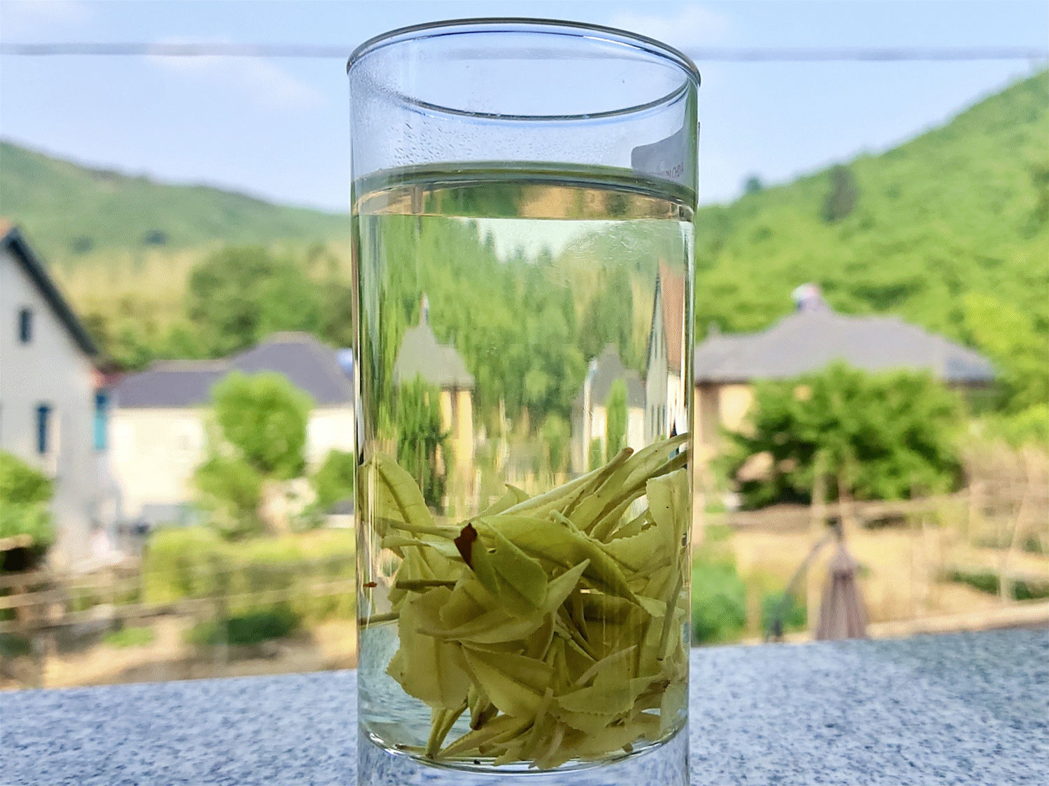 茶副本.gif