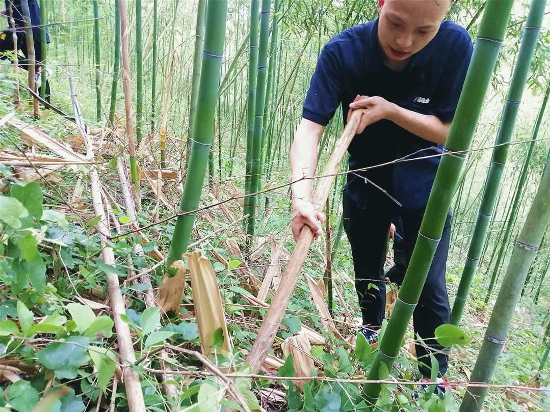微信圖片_20200526135844_副本.gif