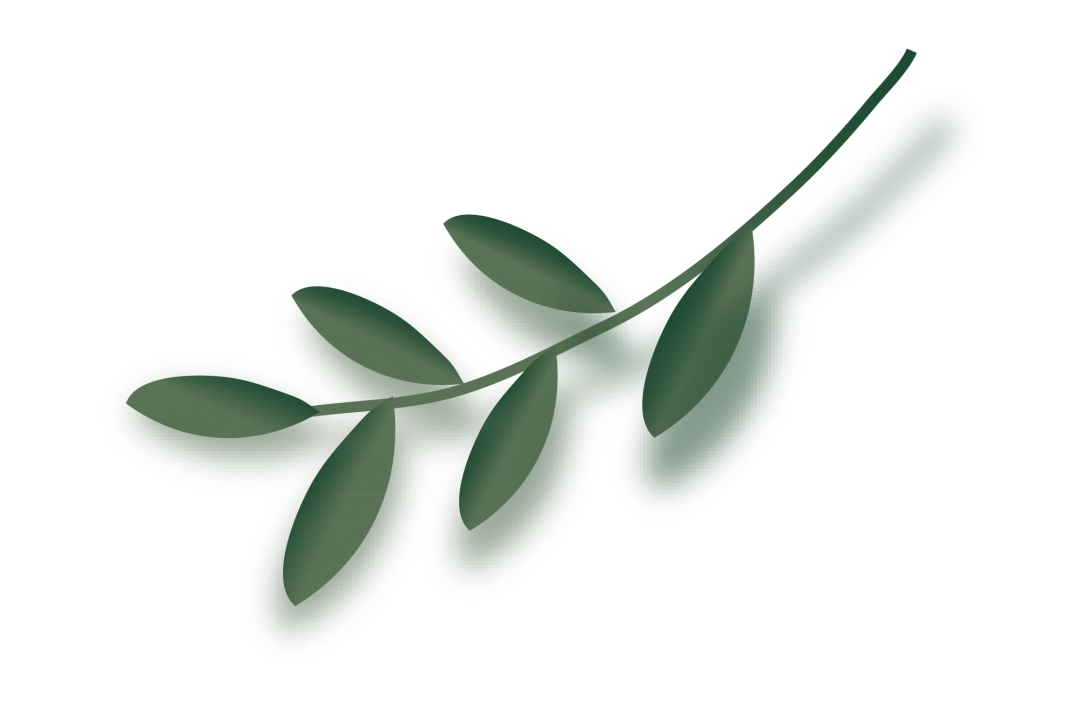 8.png