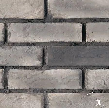 14.jpg 圖片