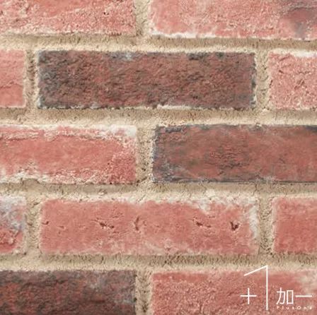16.jpg 圖片