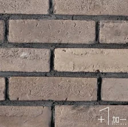 19.jpg 圖片