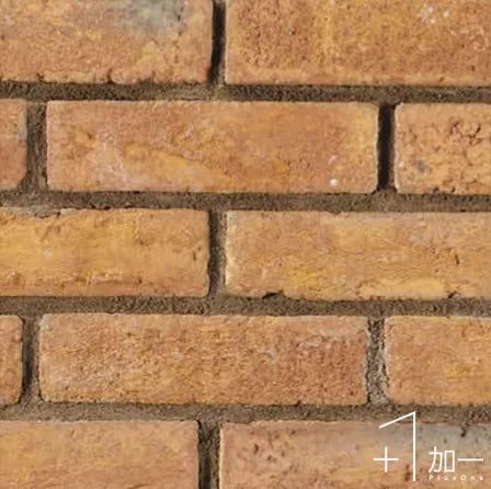 15.jpg 圖片