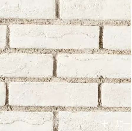 11.jpg 圖片
