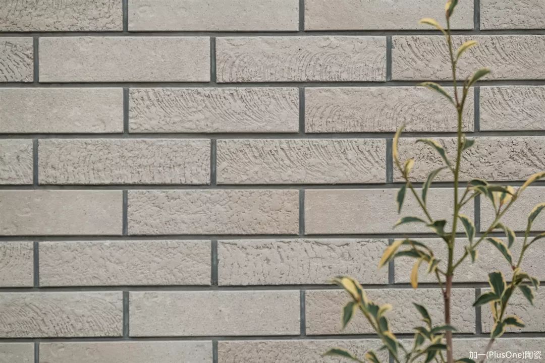 6.jpg 圖片