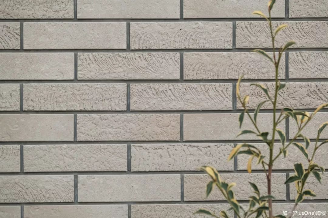 2.jpg 圖片