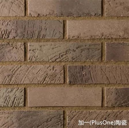 12.jpg 圖片