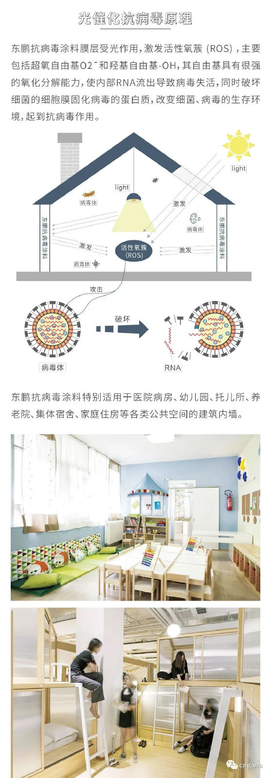2.jpg 圖片