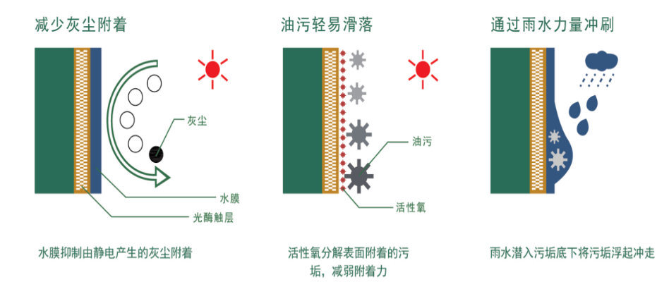 6.png 圖片