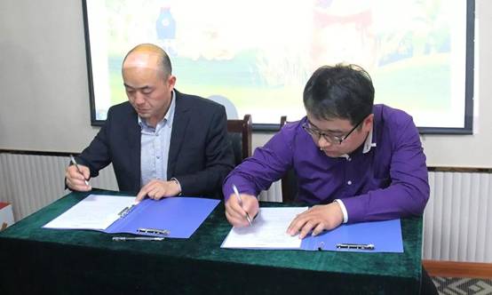 1522232307863412.jpg 10.jpg