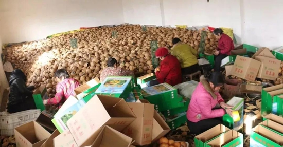 1525056751320713.jpg 2.jpg