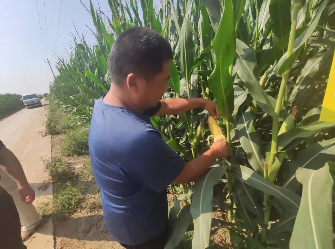 1599620065490452.jpg 圖片關(guān)鍵詞